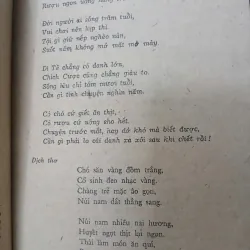 THƠ CHỮ HÁN NGUYỄN DU 556951
