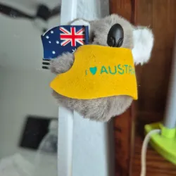Kẹp Koala Úc - dùng làm kẹp máy tính, kẹp gương
