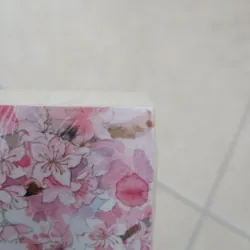 Chiết Chi - Khốn Ỷ Nguy Lâu (nguyên seal) 528157