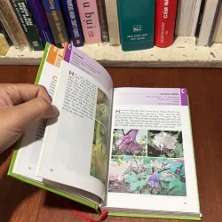 II Cây Cảnh: Từ Điển Tranh Về Các Loài Hoa - Lê Quang Long - 2006 755406