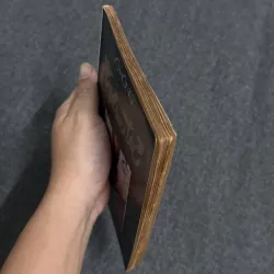 Trầm tư - Võ Hồng 1023252