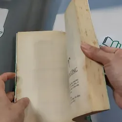 12 Chòm Sao Và Ngôi Trường Cấp 3 - Vũ Ngọc Phương Uyên 776110