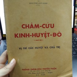 CHÂM CỨU KINH KINH HUYỆT ĐỒ