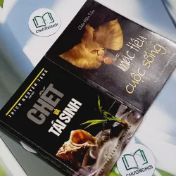 Combo: Chết và Tái Sinh, Mục Tiêu Của Cuộc Sống 707248