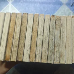 Cuộc phiêu lưu của Croket ( 15 tập) 976074