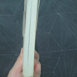"Lễ tình nhân đến muộn" - Tử Trừng 518310