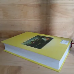 Văn Học Cổ Điển - 20 Năm Sau (Alexander Dumas) 992634