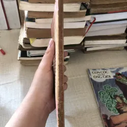 Luận đề về Phan Bội Châu và Phan Chu Trinh 973905