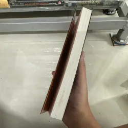 Mạt Vận - Đỗ Ngọc Yên (Bìa mềm) 569320