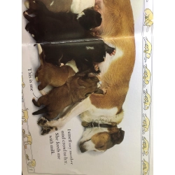 Puppy See how they grow DK HPB2607 NGOẠI VĂN 191275