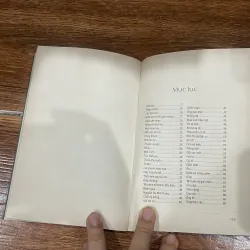 Rớt hột phiêu bồng - Bùi Giáng (7) 310640