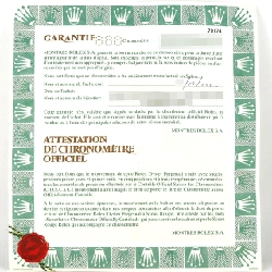 Đồng hồ Rolex Datejust 79174 SSxWG tự động P số - Hàng hiệu chính hãng 873088