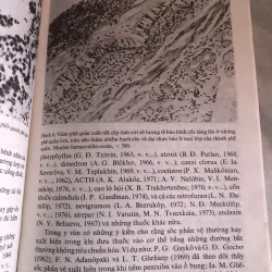 Bệnh do thuốc trong lâm sàng bệnh truyền nhiễm 800139