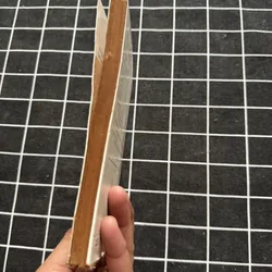 Dạ khúc chim 592313