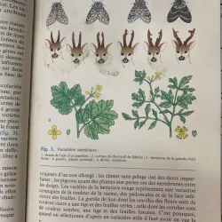 BIOLOGIE GENERALE - G. POLIANSKY (CHỦ BIÊN) 717777