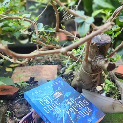 Tiểu thuyết CÁI CHẾT CỦA KẺ TRĂNG HOA - Tác giả: Ann Claire 717711