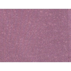 Tơ - Hàng hiệu Authentic 877965