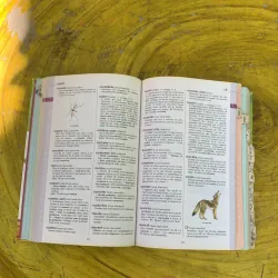 DICTIONNAIRE HACHETTE JUNIOR 761502