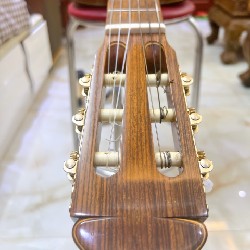 Đàn guitar Classic 6784