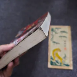 Tái sinh ở phương tây - vicki mackenzie 745656