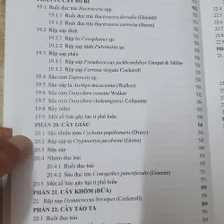 CÔN TRÙNG NHỆN GÂY HẠI CÂY ĂN TRÁI....  799628