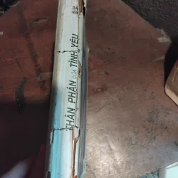 Tiểu thuyết Thân phận của tình yêu ( Nỗi buồn chiến tranh ) của Bảo Ninh  733825