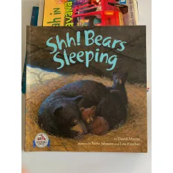 Shh! Bears Sleeping – David Martin 561133