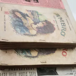 Trọn bộ 2 tập KIẾP HỒNG NHAN - Tác giả Kathleen Winsor 703547