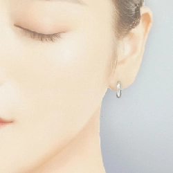 PT900 Khuyên tai - Hàng hiệu Authentic 868055