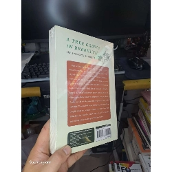 Cây brooklyn xanh biếc - Betty Smith Văn học nước ngoài NENA2702 930597