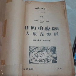 ĐẠI BÁT NIẾT BÀN KINH - ĐOÀN TRUNG CÒN 544353