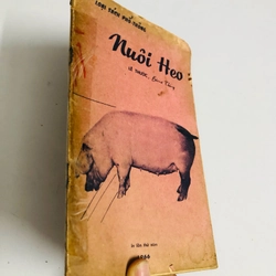 NUÔI HEO 1966 528074