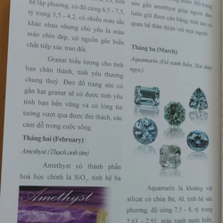 THẾ GIỚI VÀNG BẠC ĐÁ QUÍ  497819