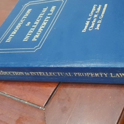 INTRODYCTION to INTELLECTUAL PROPERTY LAW 546288