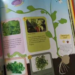 Ready, Steady, Grow! Quick and Easy Gardening Projects 1002061