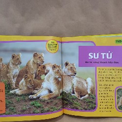 CUỐN SÁCH LỚN ĐẦU TIÊN CỦA TỚ – ĐỘNG VẬT 21259