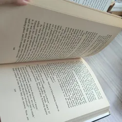 Days Without Number (historical intrigue with modern suspense) by Robert Goddard 793010