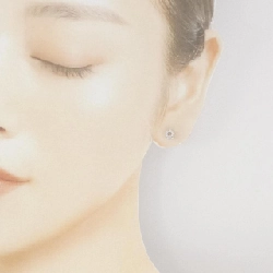 750WG Bông tai - Hàng hiệu Authentic 870006