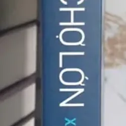 Kiến Trúc Đô Thị Và Cảnh Quan Sài Gòn Chợ Lớn Xưa Và Nay 723451