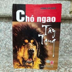 Chó ngao Tây Tạng - Vương Chí Quân
