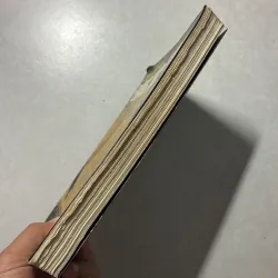 Nhật ký Đặng Thùy Trâm 757205