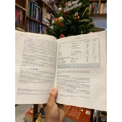 Principles of Corporate Finance - Brealey, Myers, Allen 735552