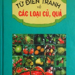 Từ Điển Tranh Về Các Loại Củ, Quả 8160