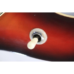 ＧＵＹＡＴＯＮＥ ＳＧ－２５Ｔ - Hàng hiệu Authentic 879175