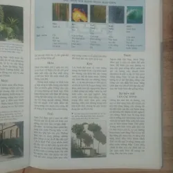 Phong thủy Nghệ thuật bài trí nhà cửa theo khoa học phương đông 1007222