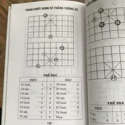 Kỳ đạo nghệ thuật cờ tướng, Dương Diên Hồng  713967