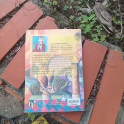 Harry Potter và hòn đá phù thủy 1031946