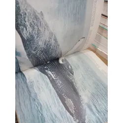 Le comportement animal - Life le monde vivant 711301