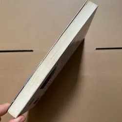 Ám ảnh từ kiếp trước 734186