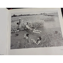 Ảnh nghệ thuật Đăng Quang 698237